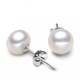 Korean version pearl earrings cupronickel temperament pearl ear jewelry wholesalepicture14